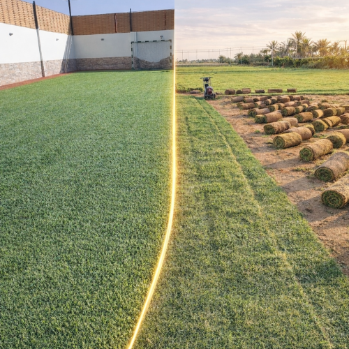 7d26909d-0ea8-4646-8c3c-ec848a9e441d